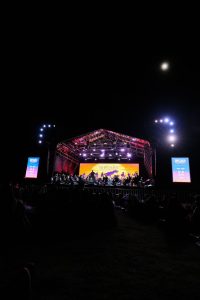 Imagen de Esto es Querétaro, arte, cultura y familia: Felifer Macías 15