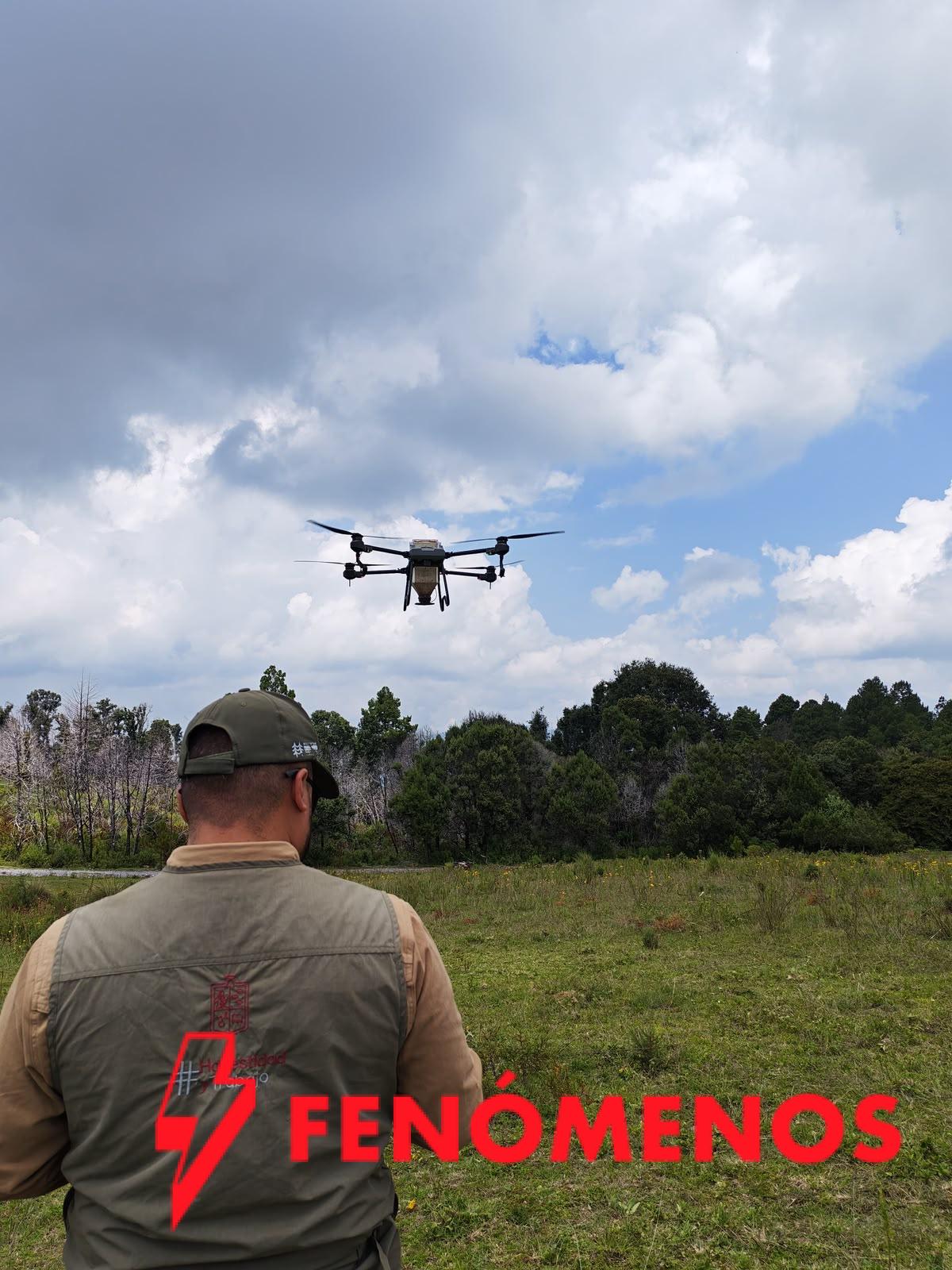 Michoacán dispersa 660 mil semillas con drones para restaurar zonas forestales de difícil acceso