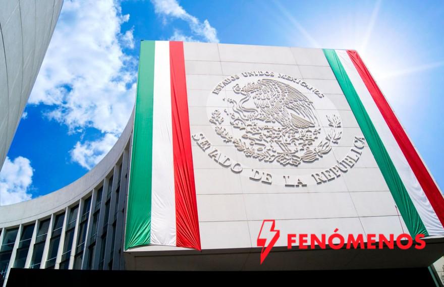 Se reincorporan senadoras y senadores a sus actividades legislativas