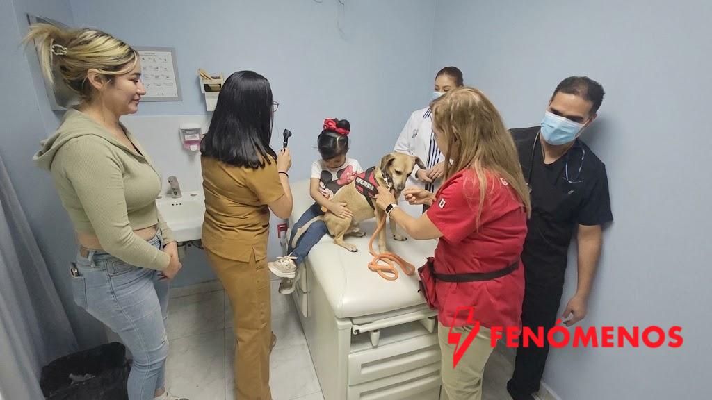 SSG innova con terapia asistida con animales de compañía para mejorar la atención paliativa pediátrica.