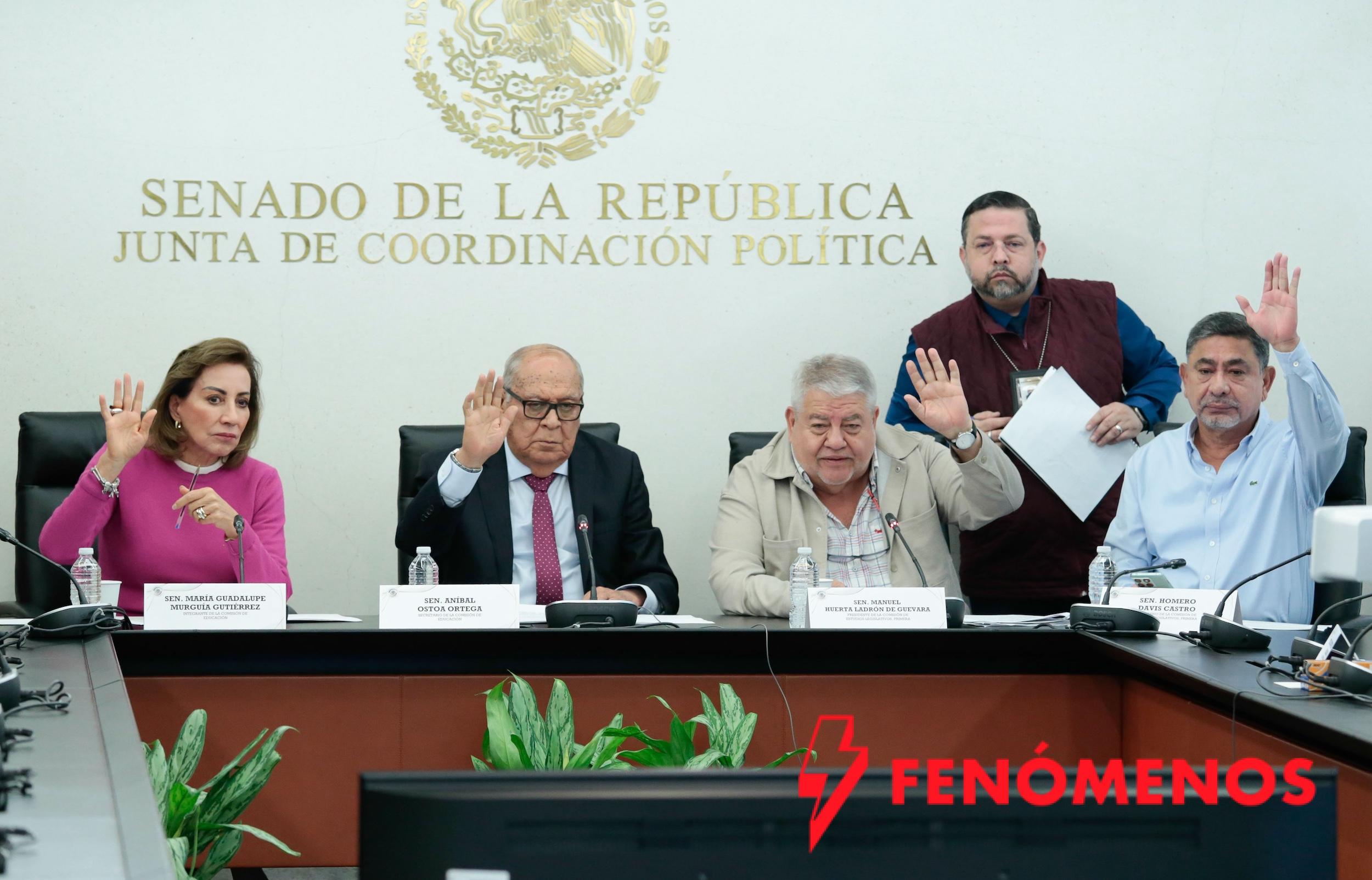Avanza en comisiones del Senado reforma para regular uso de dispositivos digitales en escuelas