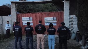 Imagen de Municipio de Querétaro suspende pensión de perros por irregularidades; asegura a 28 ejemplares 16