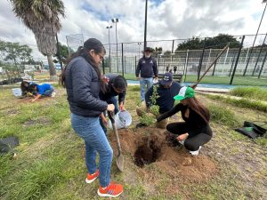 Imagen de Municipio de Querétaro, CEA y FIQMA firman convenio para promover el uso de recibos digitales y la plantación de árboles 12