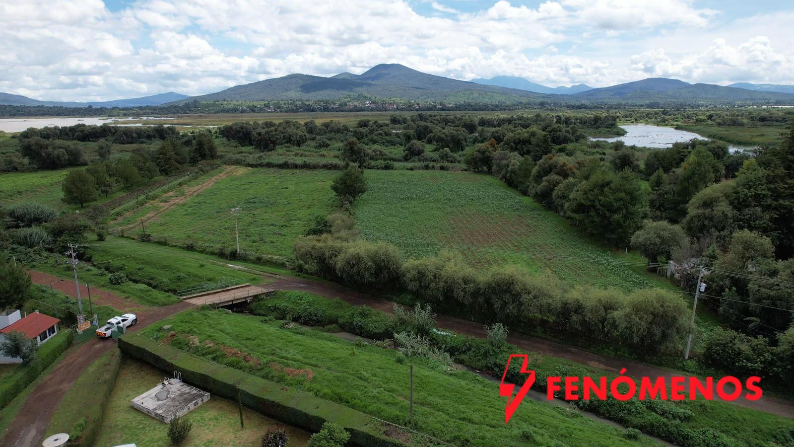 Campo michoacano, principal beneficiado con niveles altos en presas: Conagua Michoacán