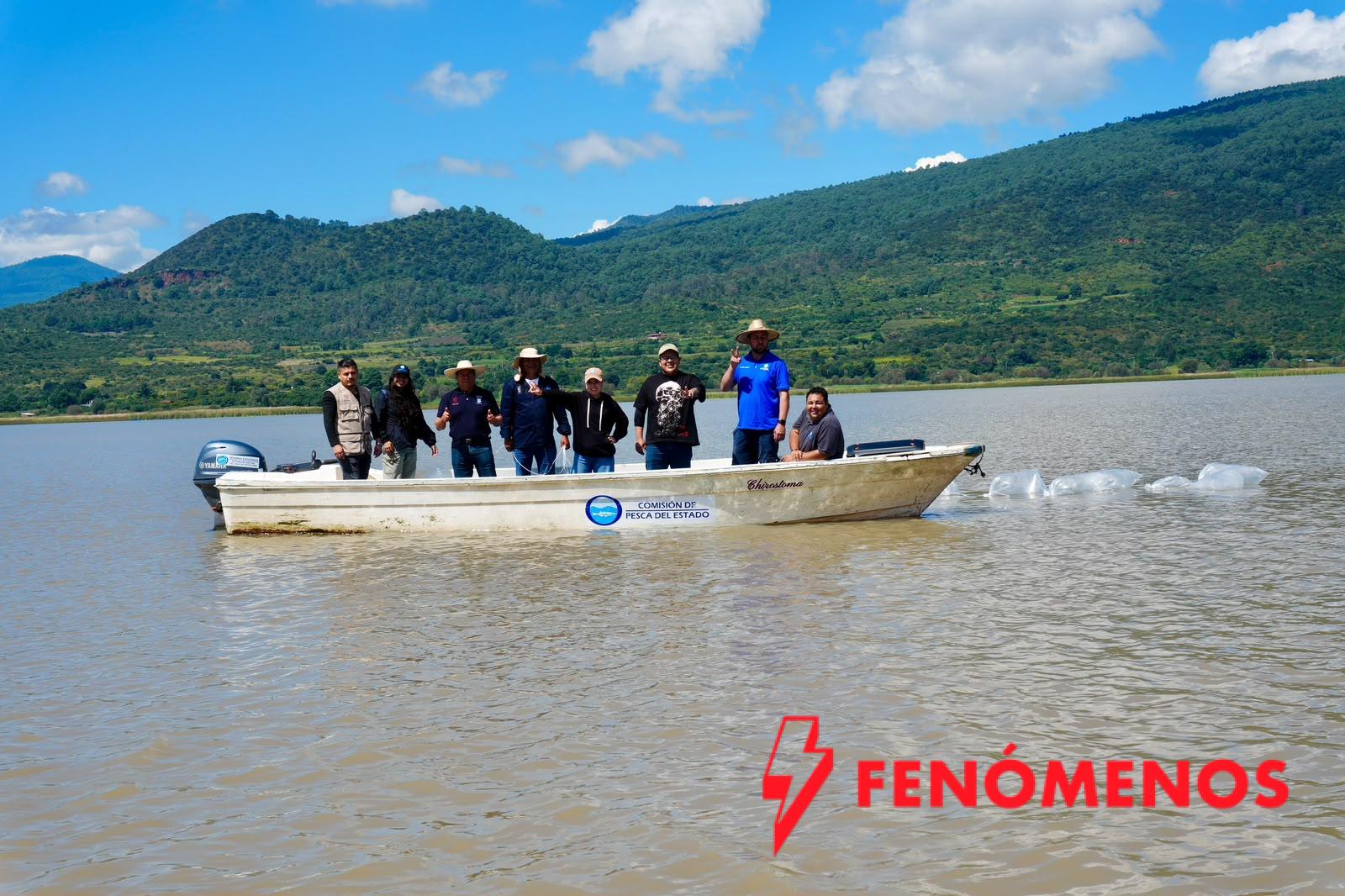 Suman 215 mil ejemplares de pez blanco liberados en el lago de Pátzcuaro